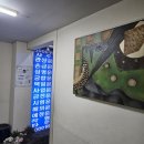 샤트렌 | 부평사주 사업운 새로 시작할 때 추천 상담 다녀온 후기