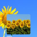 옥도면사무소 이미지