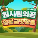 원시림의곰 금빗 내돈내산 구입후기 / 강력추천 필수템