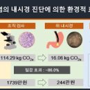 장상피화생 원인 진단 좋은 음식 이미지