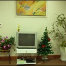 휘닉스 골프연습장 1 이미지