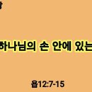 욥기 33강, 미물도 하나님의 손안에 있는것 안다. 이미지