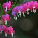 밥앤조토익학원 이미지