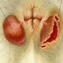 반포자이동물병원 이미지