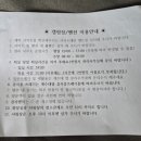 영월 동강오토캠핑장 이미지