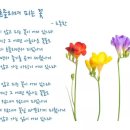 꽃피는부동산중개 이미지