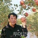 한누리청과