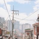 북서울꿈의숲 | 북서울꿈의숲 커플스냅 촬영 후기 | 야외 웨딩스냅 촬영장소 추천