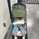 20개월 아기랑 일본 후쿠오카 가족여행 1일차(오호리 공원, 파르코 백화점, 신신라멘, 하카타역 칼디)