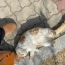 오목천역 3번출구 이미지