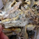 RE:참조기 말린것(반품) 이미지