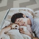 도그(DOGUE) 이미지