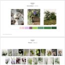 국제결혼문화원 | 우리의 결혼식 1 🫱🏻‍🫲🏼 위드윤웨딩 / 🌳 은덕문화원