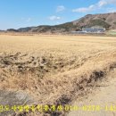 월가공인중개사사무소 이미지