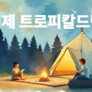 트로피칼드림 | 거제 오션뷰 캠핑 찐맛집, 트로피칼드림 카라반 완벽 후기