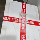 꿀과일싱싱야채