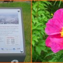 검배로~고산로 이미지