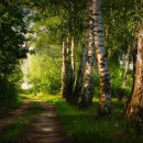 지금,여기 이미지