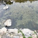 냉천약수터 이미지