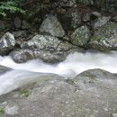 부수천 Daum카페