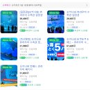 고래상어 | 오키나와 가볼 만한 곳 츄라우미 수족관 티켓 돌고래쇼 고래상어 직관 후기
