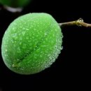 문막생활체육시설 축구장 이미지