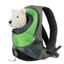 화인애견 이미지