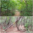 연리보건진료소 이미지