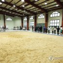 시민운동장 씨름장 이미지