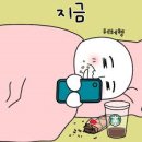 카페사당