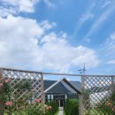 궁촌농장 이미지