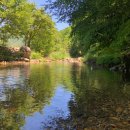 샾 펜션 이미지