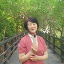 인셀덤 준 대리점