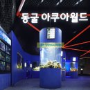 광명동굴 (코끼리차 주차장) 이미지