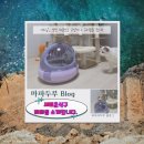 나비야 cat | 성묘 파양2번된 마파를 소개합니다. 고양이이름 어떤게 좋을까? 성묘 입양시 주의할점