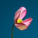 디지털로11길 이미지