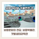 대흥로60(문화의 전당) ~ 대흥로 2 | [보령] 실내 아이와 가볼만한 곳 | 보령 문화의 전당 보령박물관 갯벌생태과학관