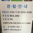 충남대학교 자연사박물관 이미지