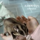 마리앤쥬(ZOO) 이미지