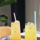 상덕낚시터 | 용인 처인구 대형 브런치 카페 포물선 수제청 맛집