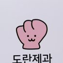 포천 신읍동 스콘과 소금빵이 맛있는 도란제과 후기