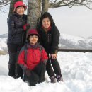 강릉목장 이미지