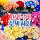 씨유 영등포꽃밭정원점 | [( ´•౪•`)고양국제꽃박람회] 꽃향기 가득한 주말 나들이 / 박람회 둘러보기 (feat. 선인장 주차장)