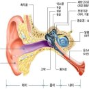 명덕효요양병원 네이버블로그