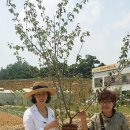 아포대로 이미지