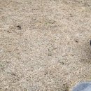 해창목장 이미지