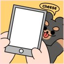 채리스튜디오 이미지