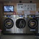 노형세탁 이미지