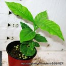 최영균농장 이미지