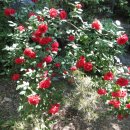 대박행정사사무소 이미지